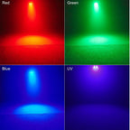 Penguin Mini Aurora Projector Beam Light | Luzshow M16